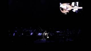 Erdem Şimşek ~ Bağlama solo #zülfülivaneli’nin Londra konserinden Resimi