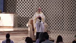 Sunday Mass (Spanish) - 5/31/2026
