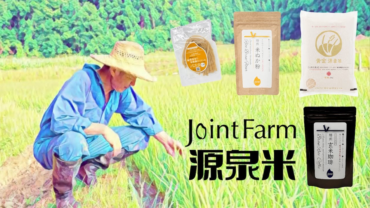 玄米珈琲 植物堆肥栽培 80g 源泉米使用 ノンカフェイン 温活