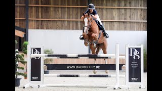 Video Alinix vd Kleijberg Z