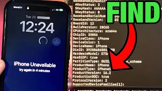 How To Check iOS Version on DISABLED/LOCKED iPhone / iPad! (ANY iOS) screenshot 4