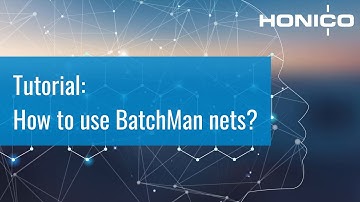 BatchMan Tutorial lesson 2: How to use BatchMan nets?