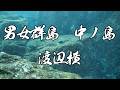 【完全解明】水中映像 男女群島 中ノ島 渡辺瀬