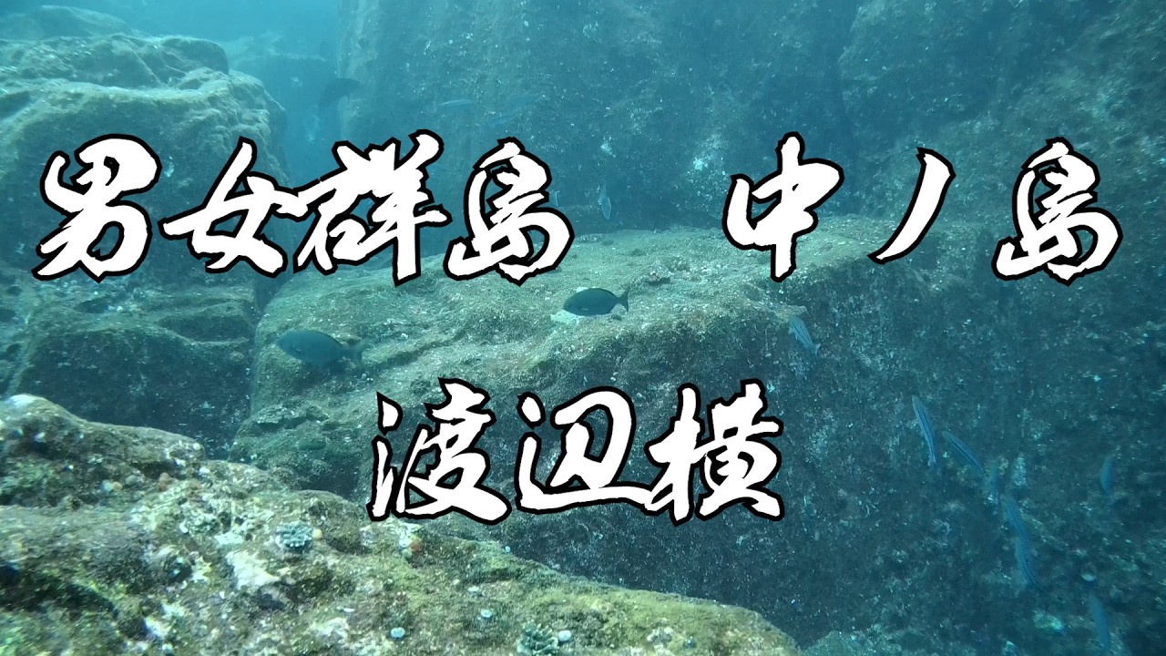 【完全解明】水中映像　男女群島　中ノ島　渡辺瀬