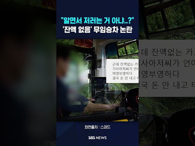 제주서 외국인 보고 "이게 맞아..?" #shorts