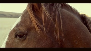 Thumbnail of Anna Mieke - Keep It Whole