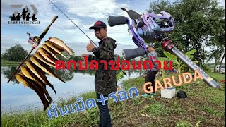 #ตกปลาช่อน#DAIWA#GARUDA ตกปลาช่อนด้วย รอก+คัน GARUDA