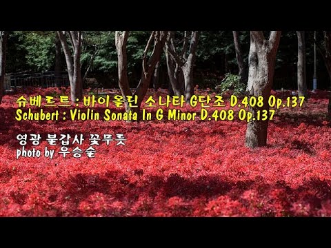 슈베르트 : 바이올린 소나타 G단조 D 408 Op 137 &amp;amp; photo by 우승술