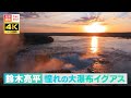 【4K】鈴木亮平 憧れの大瀑布イグアス