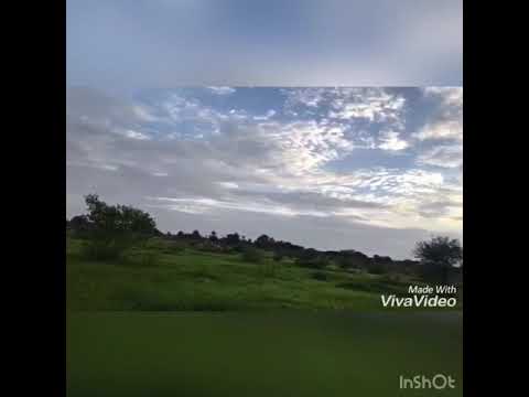 محجوبه و النعمه