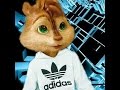 кавказские бурундуки)))Caucasian Chipmunks))) Роберт Каракотов "Украду"