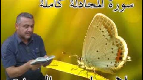 سورة المجادلة كاملة =هديتى الى ارواح امواتكم اخوانى واخواتى الاطهار =ملا صاحب العبيدى