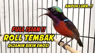 Download Lagu KOLIBRI NINJA GACOR FULL NEMBAK ISIAN ROLL TEMBAK !! DIJAMIN COCOK BUAT PANCINGAN KONIN AGAR BUNYI MP3