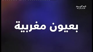 النموذح التنموي الجديد، تشخيص للداء ووصف للدواء