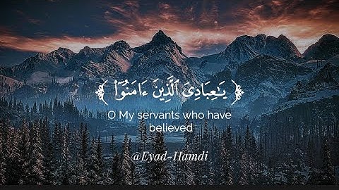 تلاوة خاشعة من سورة العنكبوت - القارئ عبد الرحمن مسعد ✨🌙