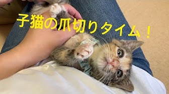 ワンハート大阪 Youtube ワンハート大阪 Youtube