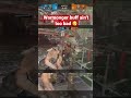 Bleed on bash is hella nice now. #forhonor #forhonorgameplay #knight