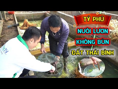 Video Kỹ thuật nuôi lươn không bùn trong bể xi măng || Lợi... - youtube