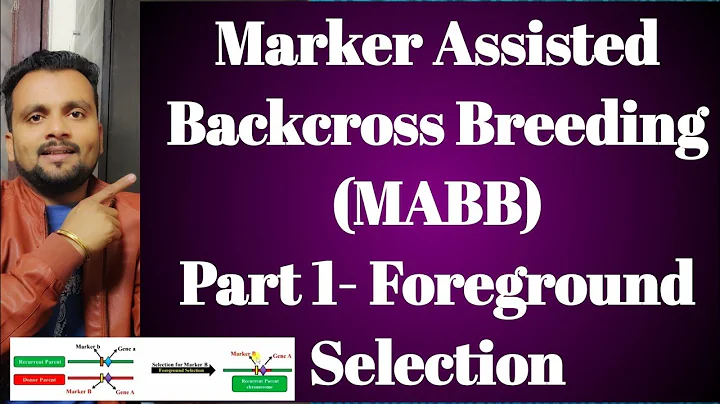 Marker Assisted Backcross Breeding (MABB)-Part 1: Foreground Selection - DayDayNews