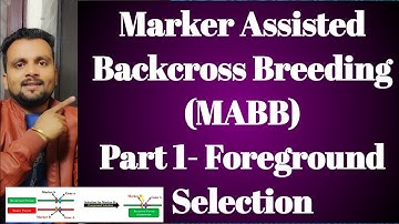 Marker Assisted Backcross Breeding (MABB)-Part 1: Foreground Selection