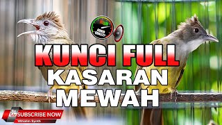 CUCAK JENGGOT VS KAPAS TEMBAK GACOR !! KUNCI SUKSES MASTERAN FULL ISIAN KASAR UNTUK MURAI BATU !!