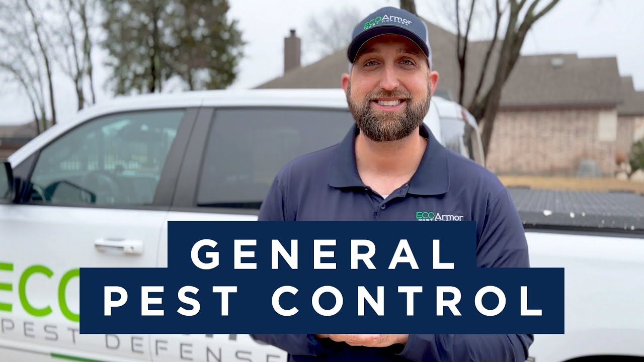 What our General Pest Control service entails! - YouTube