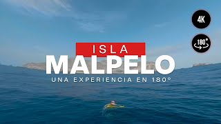 Viva la inmensidad de Malpelo en una experiencia virtual de 180 grados
