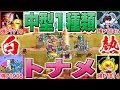【城ドラ】使えるのは剣士と中型1種類だけ!!城ドラ史上最大の心理戦になるはずが…!?【うさごん】