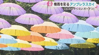 Colorful Umbrella Art Brightens the Rainy Season: Yakurai Garden