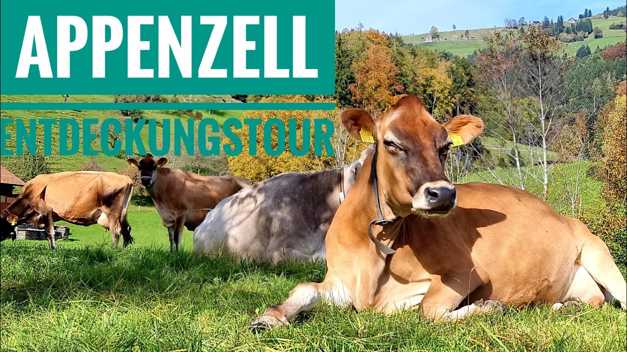 Appenzell Entdeckungstour