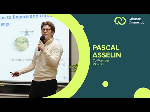 Pascal Asselin - MORFO