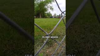 I Put a Camera on My Cat… You Won’t Believe This! #shortvideo #animals #cat #cute #funny Wealth