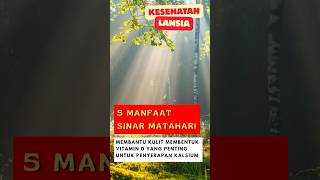 5 Manfaat Sinar Matahari untuk Kesehatan