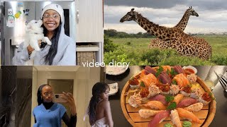 VIDEO DIARY | being a corporate 💻 and instagram 📸 girlie , game drive🦒, trying sushi 🍣, new puppy🐶🐾