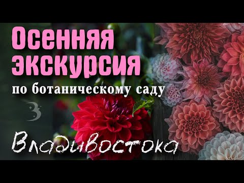 Сказочное цветение! Ботанический сад во Владивостоке, сентябрь 2023