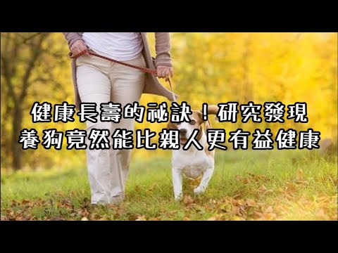 健康長壽的祕訣！研究發現，養狗竟然能比親人更有益健康