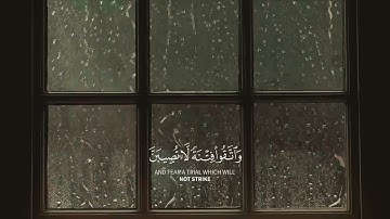 يا أيها الذين آمنوا استجيبوا لله وللرسول سورة الأنفال بصوت الشيخ ياسر الدوسري #قرآن #قران_كريم #fyp 
