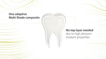 BRILLIANT Bulk Fill Flow - Aesthetic and durable restorations - saving time & money (EN)