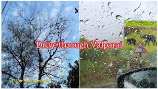 Drive through Valparai /Rains in the forest Range Pollachi/ Travel to Kerala from Tamilnadu