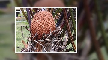 HSTU Campus Review | Welcome To Hajee Mohammod Danesh Science &Technology University