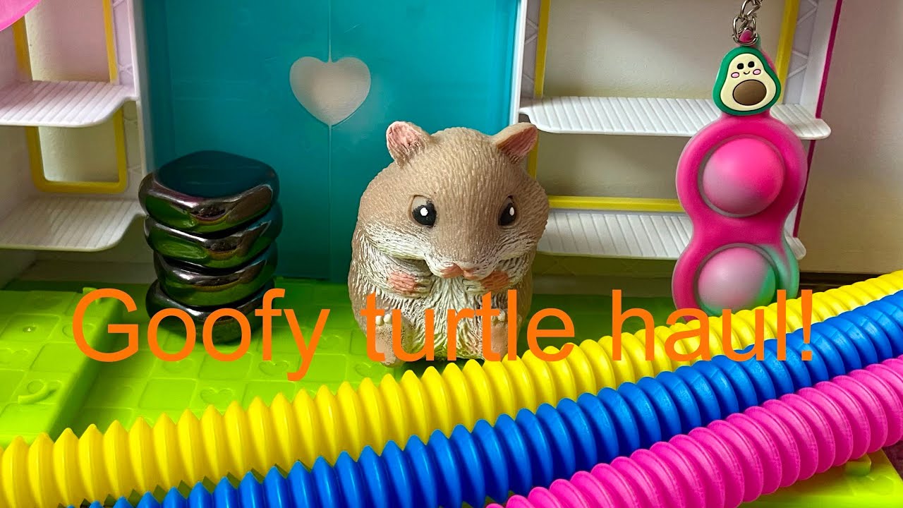 Goofy turtle haul! One of the best places to find fidgets YouTube