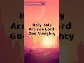 Agnus Dei - Holy Holy Are You Lord God Almighty - Songs of Hope - 22 #shorts