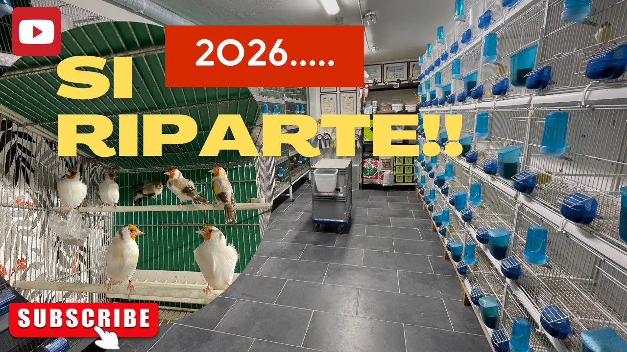 2026...si riparte, sempre pronti a nuove sfide!