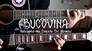 Bucovina: Asteapta-ma Dincolo De Moarte | Guitar Cover