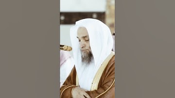 تلاوة مرئية سورة الرعد الآيات من ٨ إلى ٩ الشيخ فيصل غزاوي