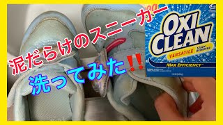 【オキシ漬け】オキシクリーンで汚れきったスニーカーがどれだけ綺麗になるか検証してみた | コストコオキシクリーン使い方と効果検証 | Costco Oxiclean Cleaning