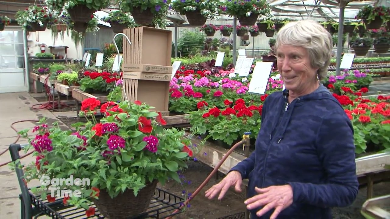 Egan Spring Hanging Baskets