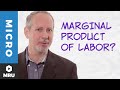 The Marginal Product of Labor