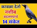 Crow gives 14 signs of changing fate check it out