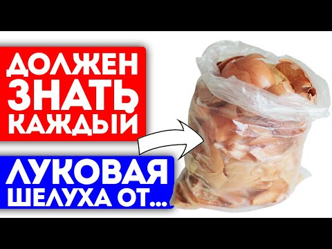 Всю жизнь лечусь только луковой шелухой! Кровь, сосуды, токсины и даже… Луковая шелуха